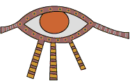 eye